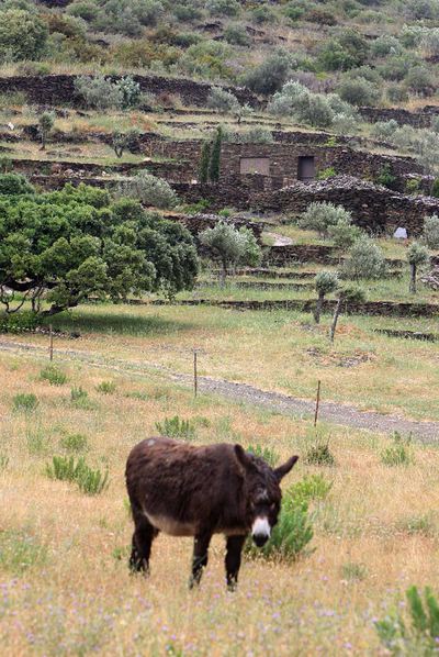 Medio Ambiente realiza un censo de las  barracas  del cabo de Creus.