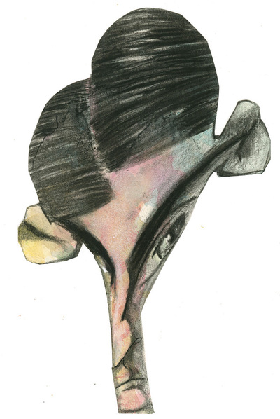 El tesoro oculto de Kafka