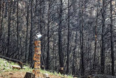 Monumento en el corazón del incendio de Horta de Sant Joan