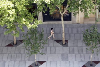 La nueva piel de Serrano