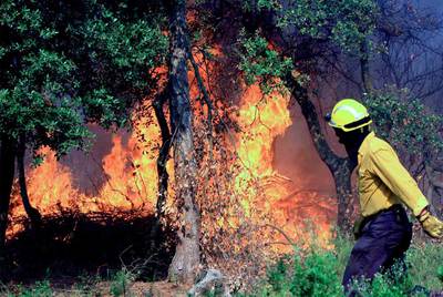 El primer incendio del verano pone en alerta a Girona