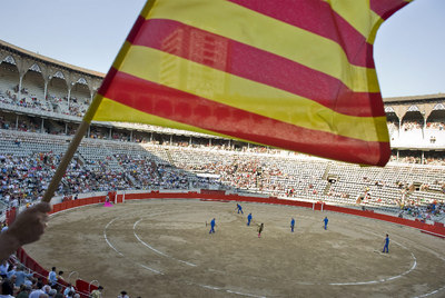 Una  senyera  ondea en la Monumental de Barcelona.