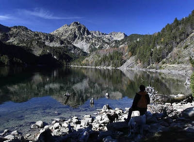 El buitre que baila 'Sex Bomb'