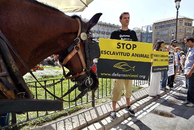 DEFENSORES DE LOS ANIMALES PROTESTAN CONTRA LA EXPLOTACIÓN DE LOS CABALLOS