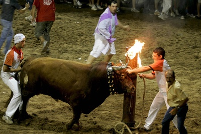 Celebración de bou embolat en la Plana Baixa de Castellón.