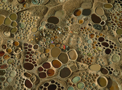 Círculos de sal en el desierto