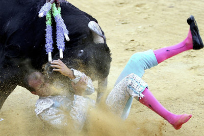 El subalterno de la cuadrilla de Javier Conde, Cándido Ruiz, corneado por un toro.