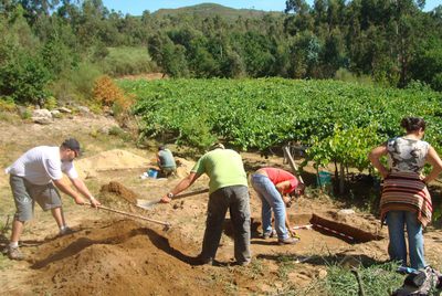Excavaciones en el yacimiento paleolítico inferior de O Cabrón, en Arbo.