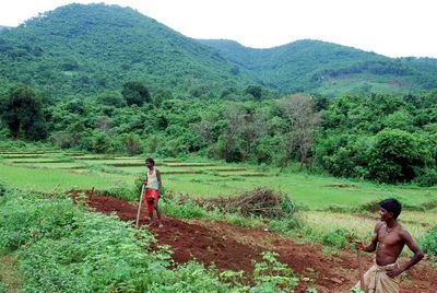 Individuos de la tribu dongria kondh ante su montaña sagrada.