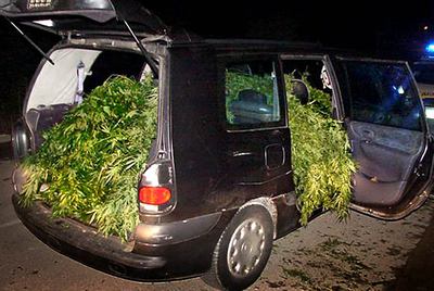 De marihuana hasta los reposacabezas