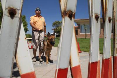 El pastor alemán  Neox  durante el adiestramiento en la Fundación Once del Perro Guía.