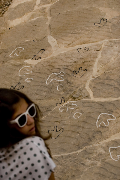  Huellas en el yacimiento de Las Cerradicas, en Galve (Teruel) 