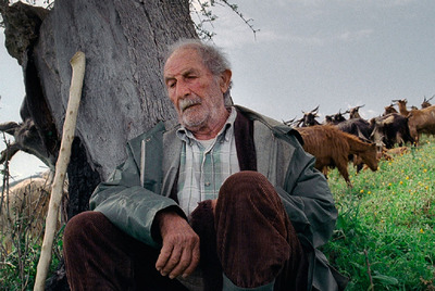 Fotograma de la película  Le quattro volte,  de Michelangelo Frammartino.