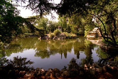 Cabrera tira guijarros a un estanque para remover 