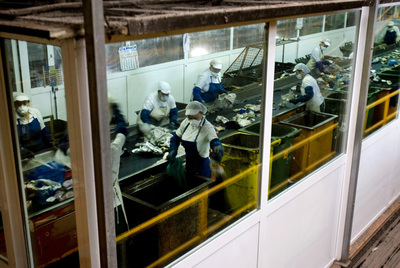 Planta de residuos de Serra do Barbanza, en Lousame.