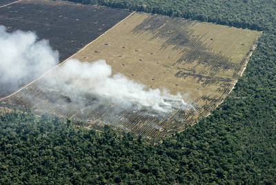 La cuenca del Amazonas es uno de los escenarios de  Contra el cambio,  de Martín Caparrós.