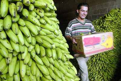 Un trabajador acarrea una caja de bananas en un mercado de Tegucigalpa.