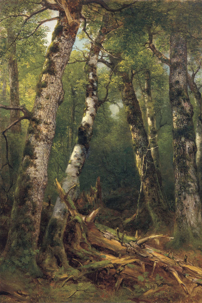  Grupo de árboles  (1855-1857), de Asher B. Durand.