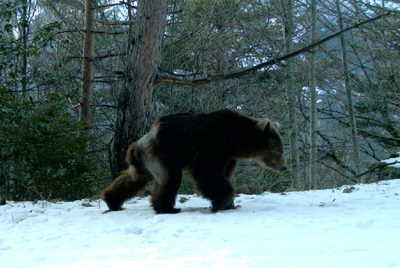 Última imagen de  Camille,  en agosto pasado.