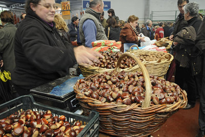 Feira de Santos de Monterroso, cinco siglos después