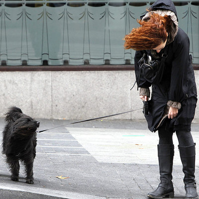 EL VIENTO AZOTA MADRID