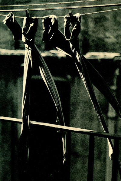  Sense Titol,  años cincuenta, fotografía de Josep M. Casademont.