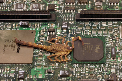 Los virus, una de las grandes fragilidades de la informática.