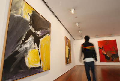 El Centro José Guerrero.