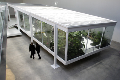  ¿Estás realmente seguro de que el suelo no puede ser también el techo?,  la cápsula con mariposas del MACRO.