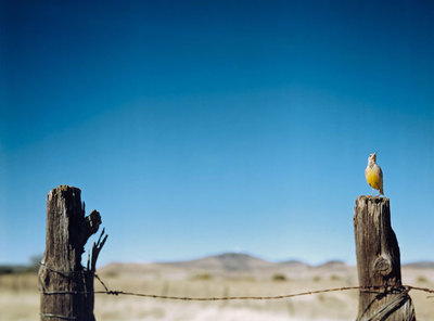  Nº 416, diciembre 2006-enero-febrero 2007  .