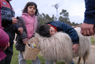 Un grupo de niños alimenta y acaricia a una de las ovejas de la  ecoescola  de Aldea Nova, en Narón.