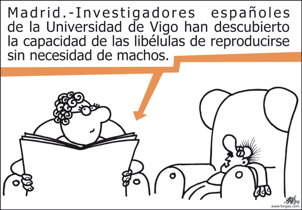 FORGES