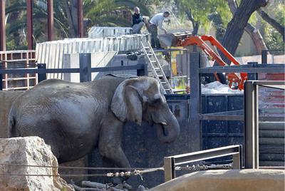  Susi  ayer en sus instalaciones, sometidas a obras de ampliación y mejora.