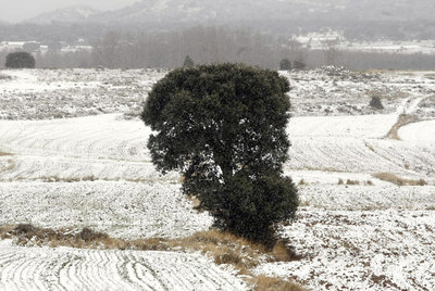 Nieve en el interior de Castellón