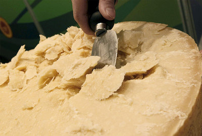 FOTOGALERIA: Parmesano para todos