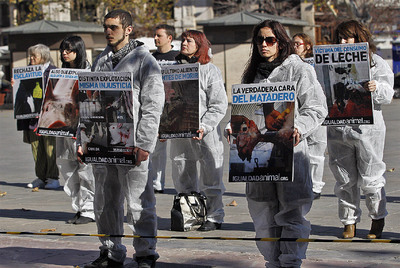 Protestas contra la "explotación animal"