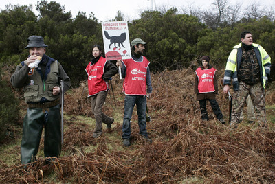 Los ecologistas irrumpen en una cacería de zorros en Pontecaldelas