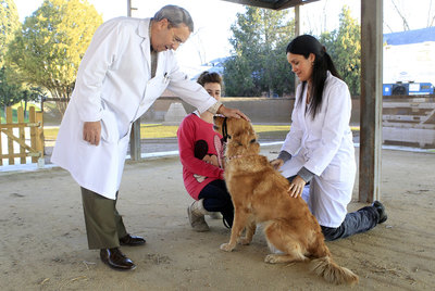 Miguel Ibáñez; la perra  Mia;  su dueña, Andrea Serrano, y Bernadette Anzola, en el Centro de Medicina del Comportamiento Animal.