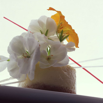 Plato  María va a la florería  