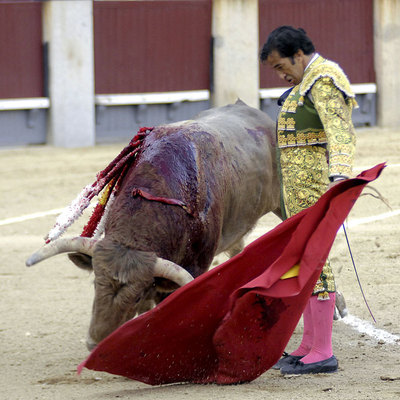 Juan Mora, durante su majestuosa faena de muleta a un  torrealta  en la pasada Feria de Otoño de Madrid.