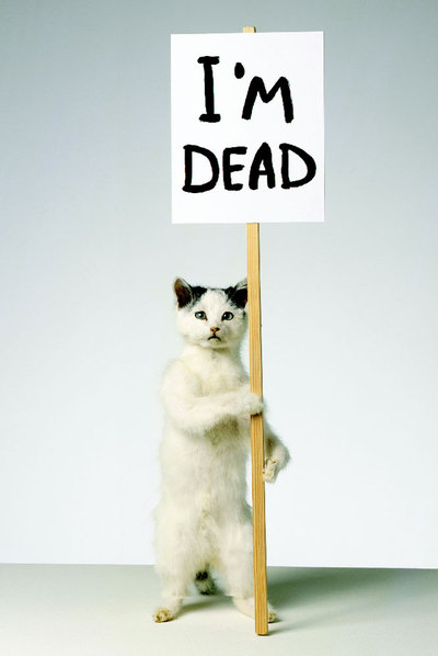  I'm dead,  ilustración para la revista de David Shirgley.