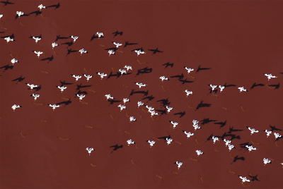 Obra del proyecto  Agua , del fotógrafo Héctor Garrido.