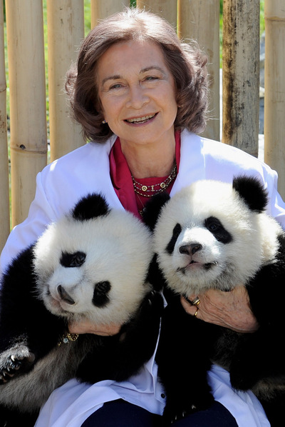 La Reina, con los pandas en el zoo
