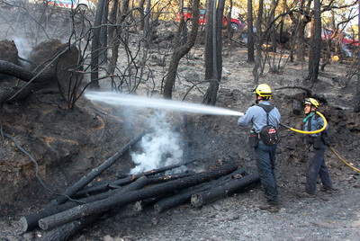 Las llamas carbonizan seis hectáres en Les Gavarres