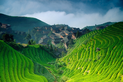 Los bancales de arroz cubren completamente las colinas cerca de la aldea de Ping'an, en la región de Guangxi, al suroeste de China