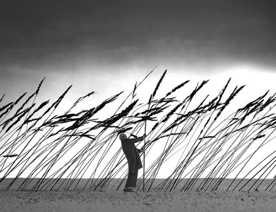  Sauver la nature , imagen que se mostrará en el estad de la galería Tinta.