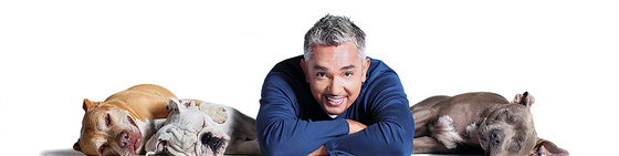 Mitad hombre, mitad perro