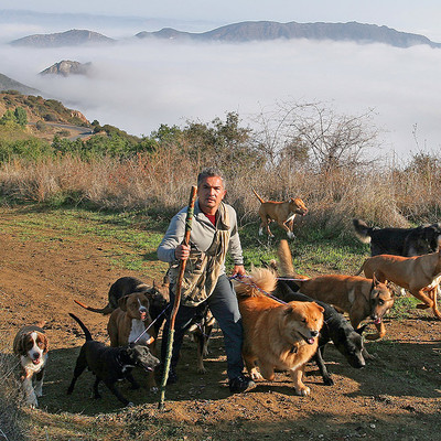 Mitad hombre, mitad perro