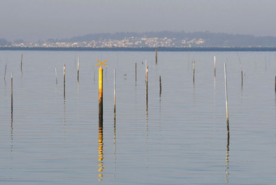 Marcas de los campos privados de marisqueo en la playa Compostela de Vilagarcía de Arousa.
