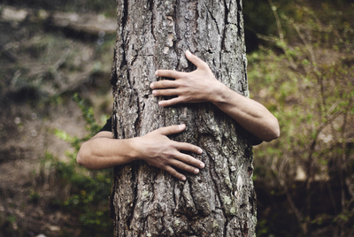  Hugging tree,  de Salva López (colección Flickr).